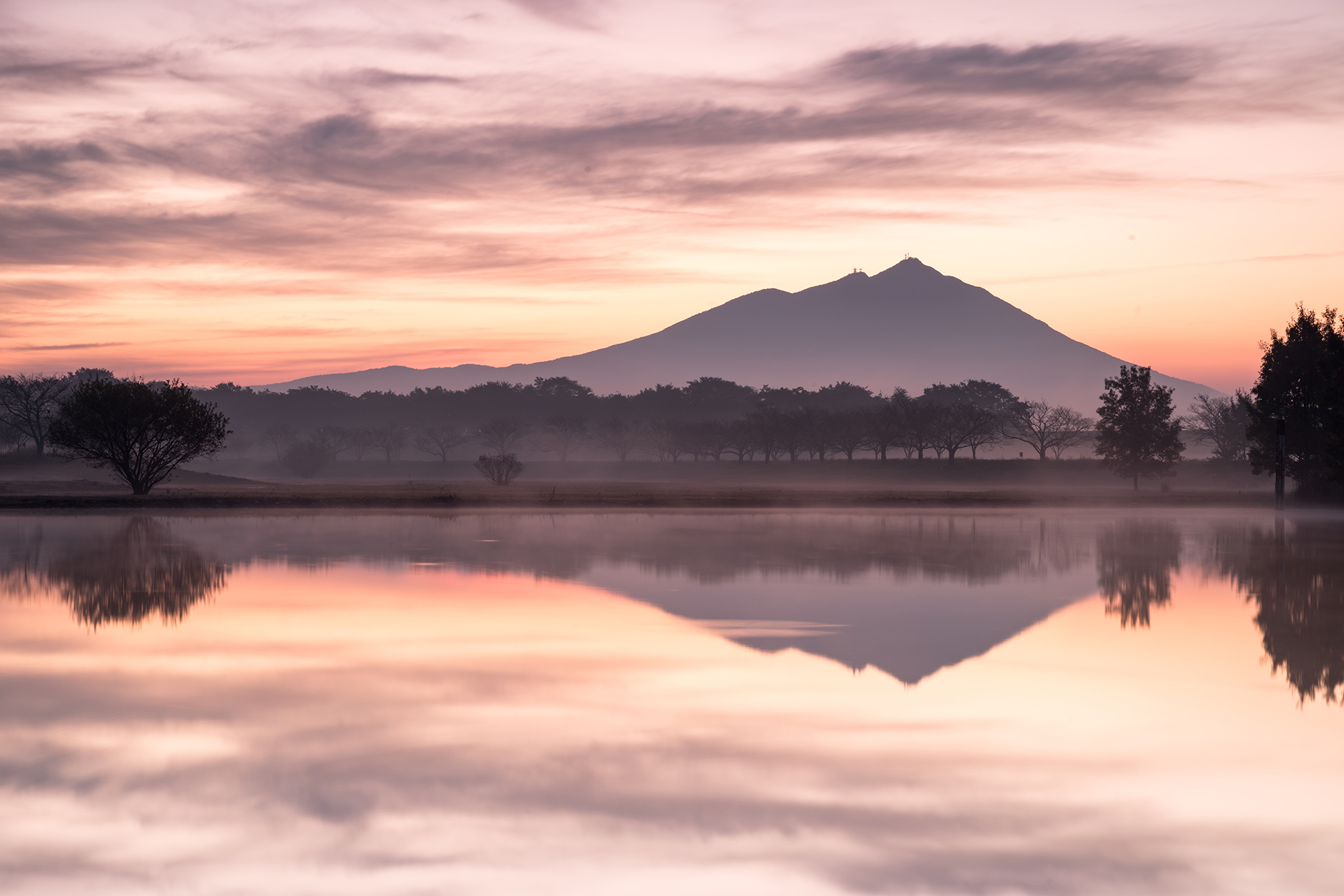 公式サイトリニューアル